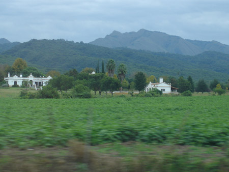 z Les bodegas