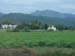 z Les bodegas