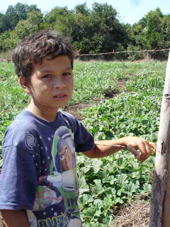 enfant aux champs