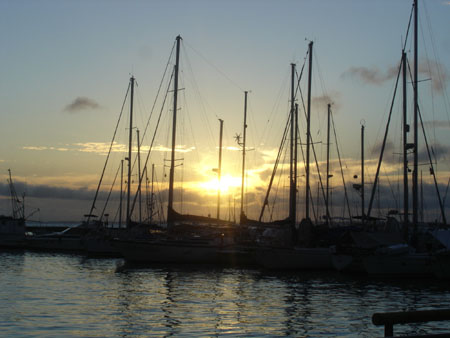 DSC00146